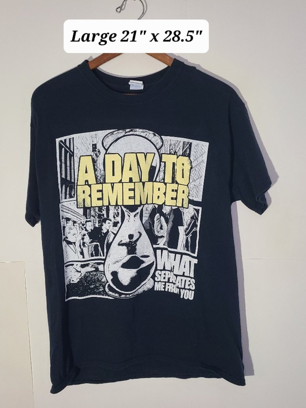 A Day to Remember 2010 "What Separates Me From You" Black Large T-Shirt VGUC